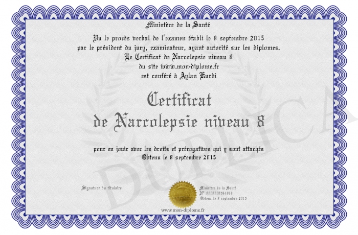 diplome niveau 8